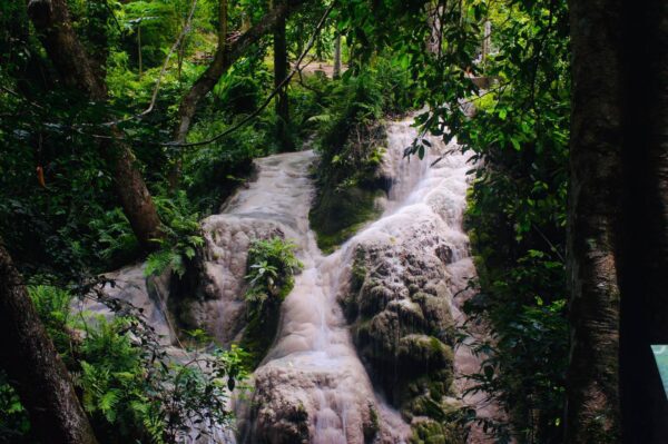 Doi Suthep Temple + Sticky Waterfall - Image 9
