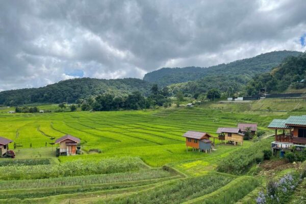 Doi Inthanon National Park 1 Day Tour - Image 5