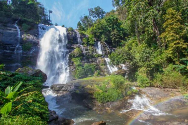 Doi Inthanon National Park 1 Day Tour - Image 3