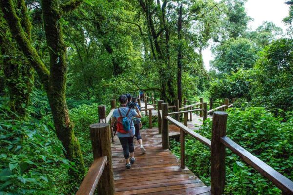 Doi Inthanon National Park 1 Day Tour - Image 4