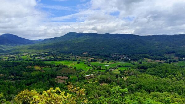 One day Elephant and hiking (Mae Wang Area) - Image 5