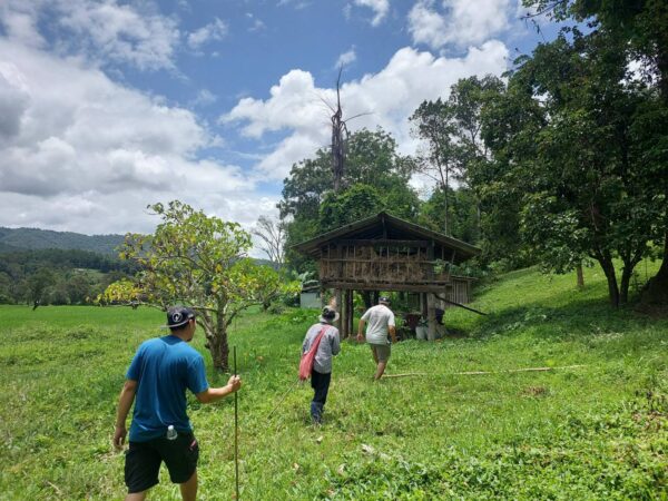 One day Elephant and hiking (Mae Wang Area) - Image 6