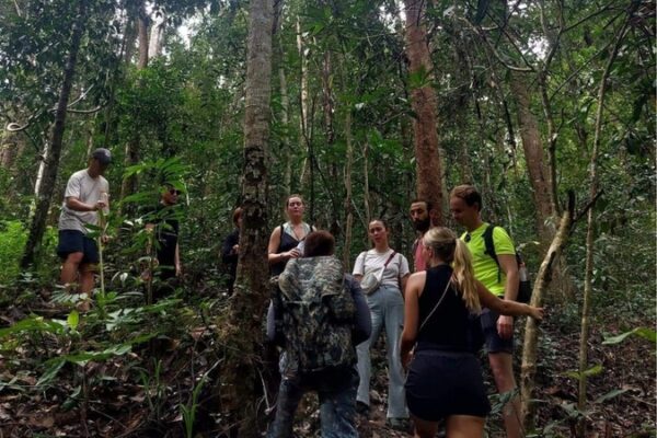 One day Elephant and hiking (Mae Wang Area) - Image 3