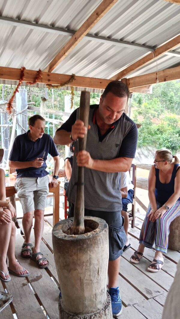 1 Day Elephant Care - Image 5
