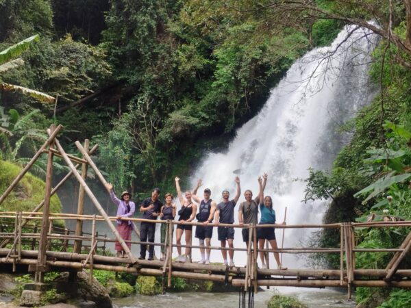 Doi Inthanon National Park Hiking+ Elephant Care - Image 4