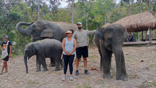 Doi Inthanon National Park Hiking+ Elephant Care - Image 9