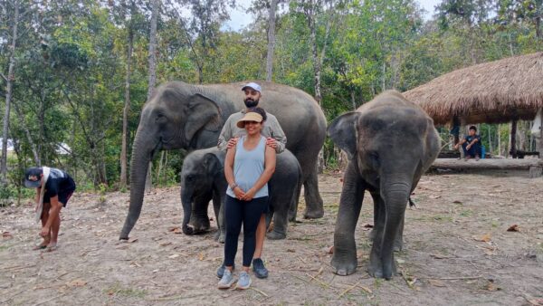 Half Day Elephant Care (Morning Tour) - Image 10
