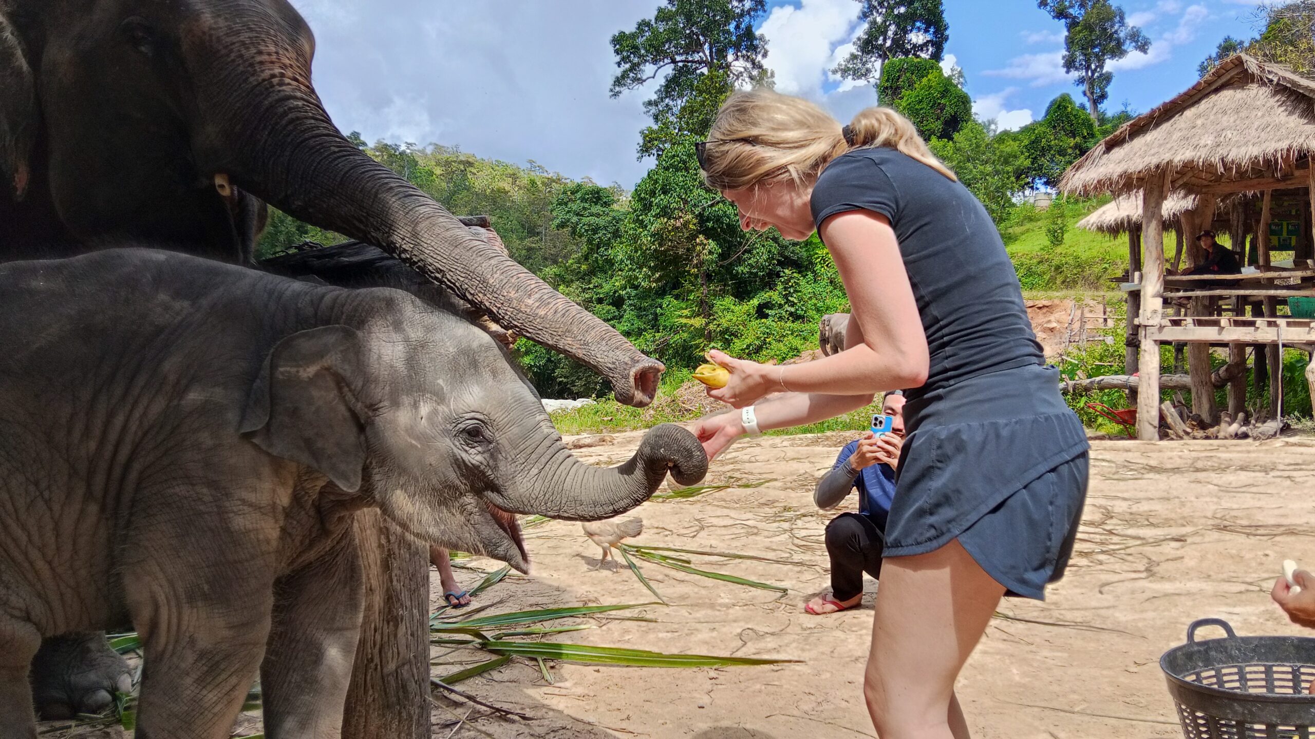 Doi Inthanon National Park Hiking+ Elephant Care - Image 31