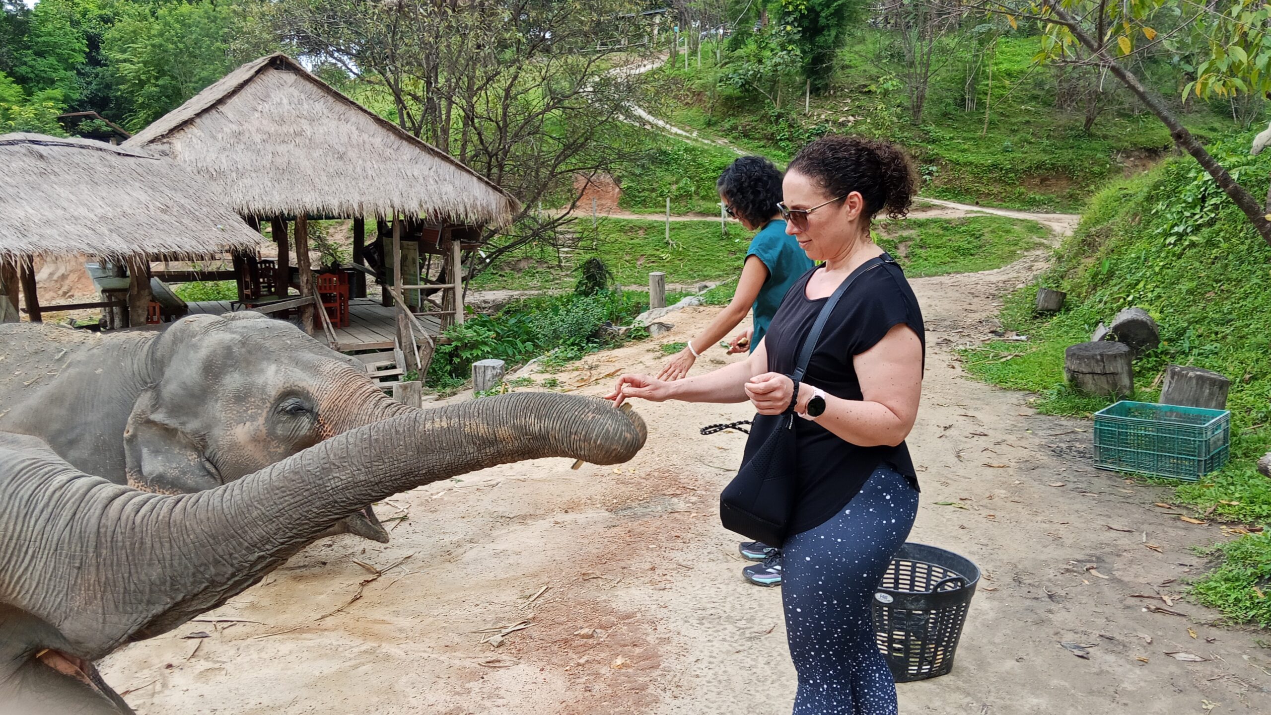 Doi Inthanon National Park Hiking+ Elephant Care - Image 24