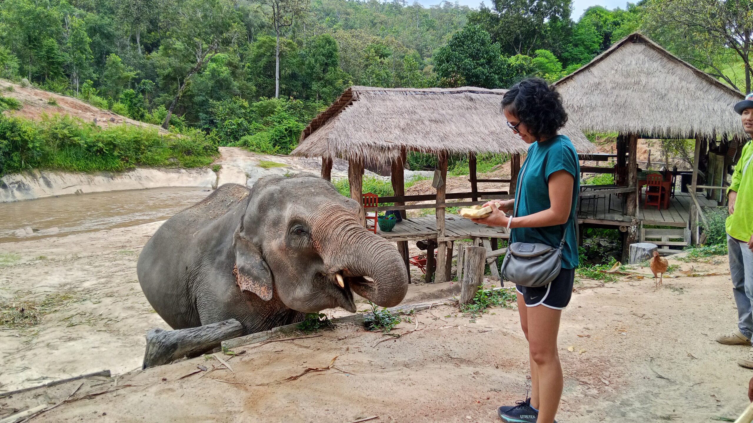 Doi Inthanon National Park Hiking+ Elephant Care - Image 25