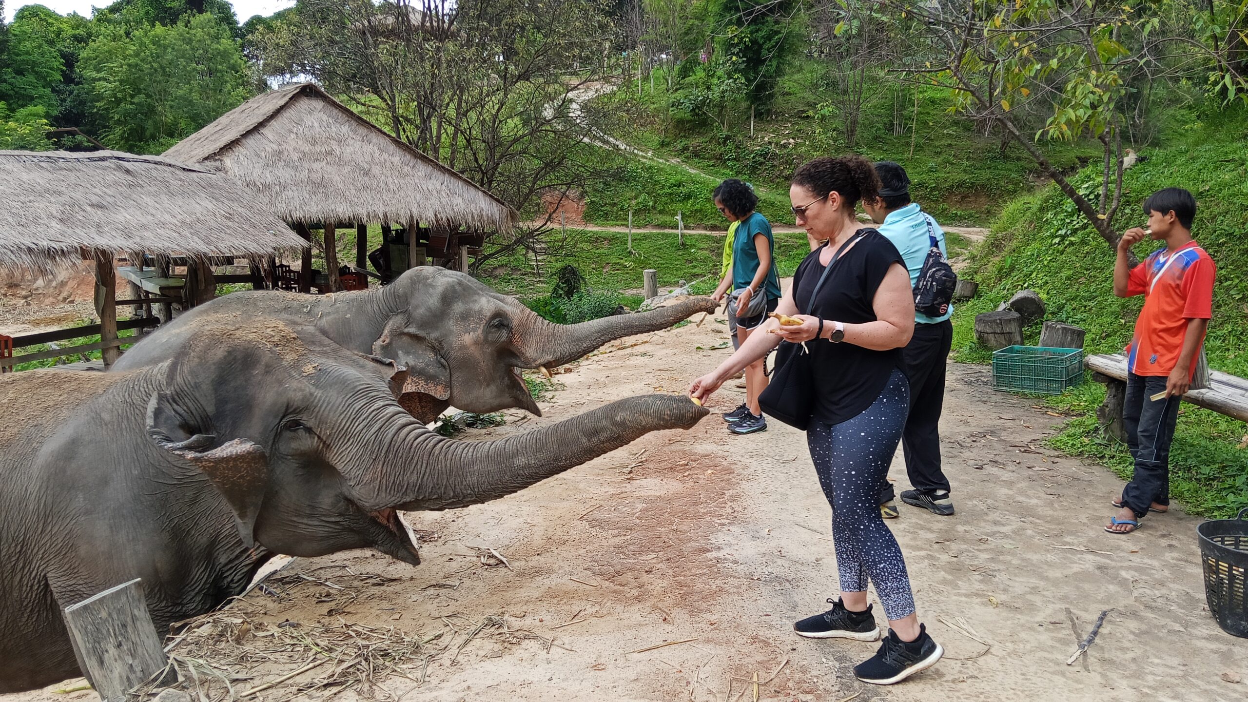 Doi Inthanon National Park Hiking+ Elephant Care - Image 26