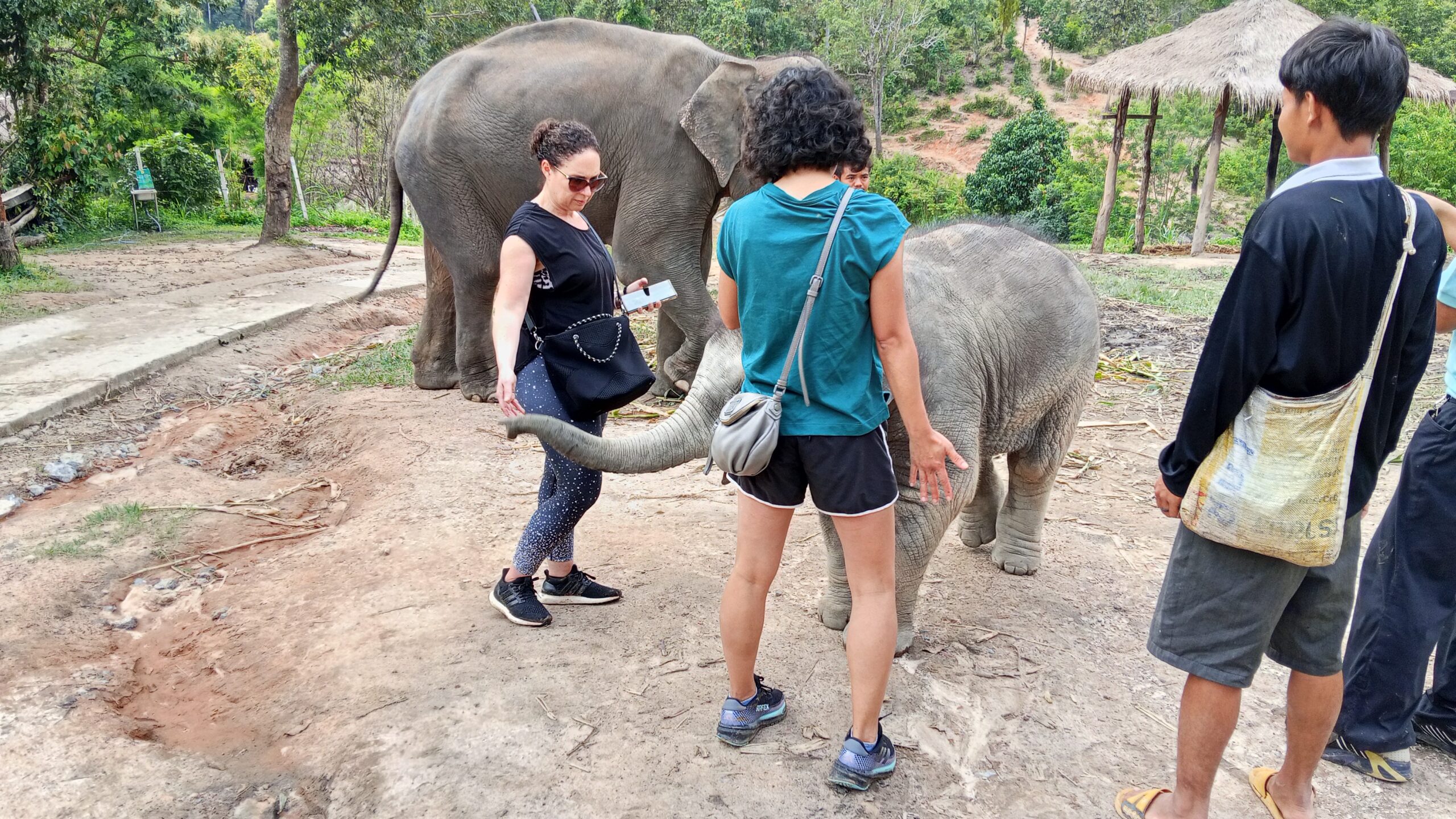 Doi Inthanon National Park Hiking+ Elephant Care - Image 28