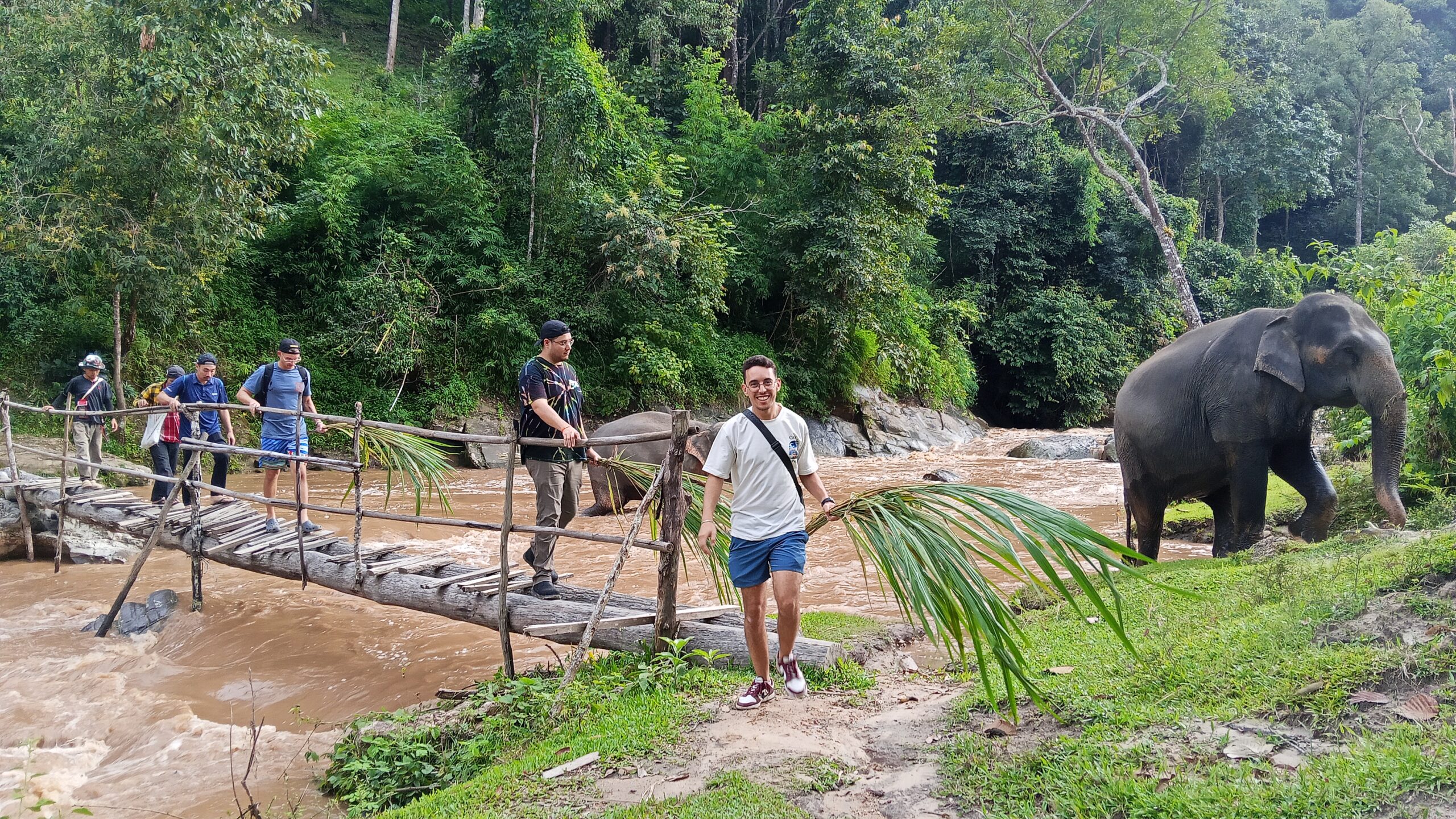 Doi Inthanon National Park Hiking+ Elephant Care - Image 13