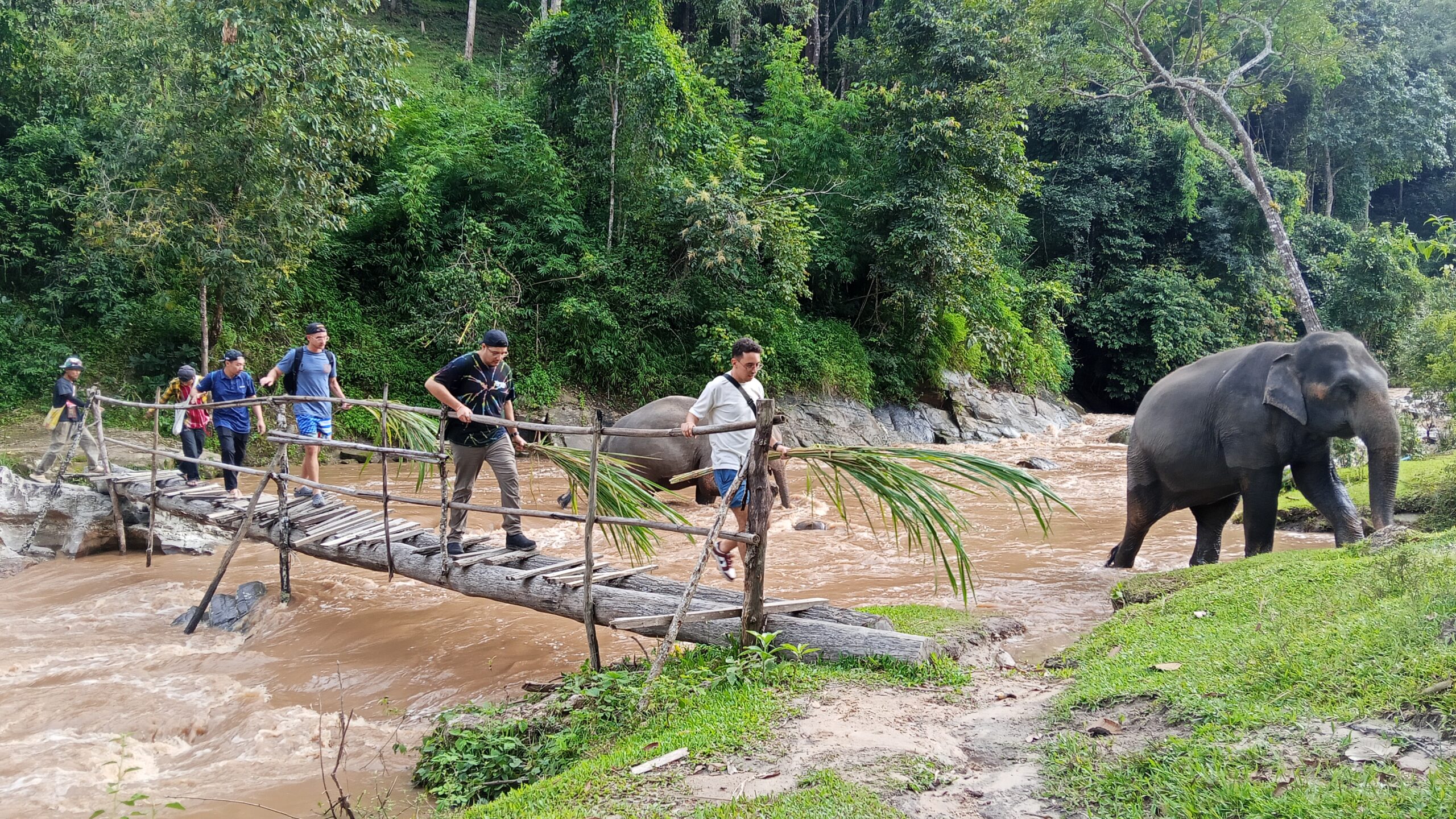 Doi Inthanon National Park Hiking+ Elephant Care - Image 15