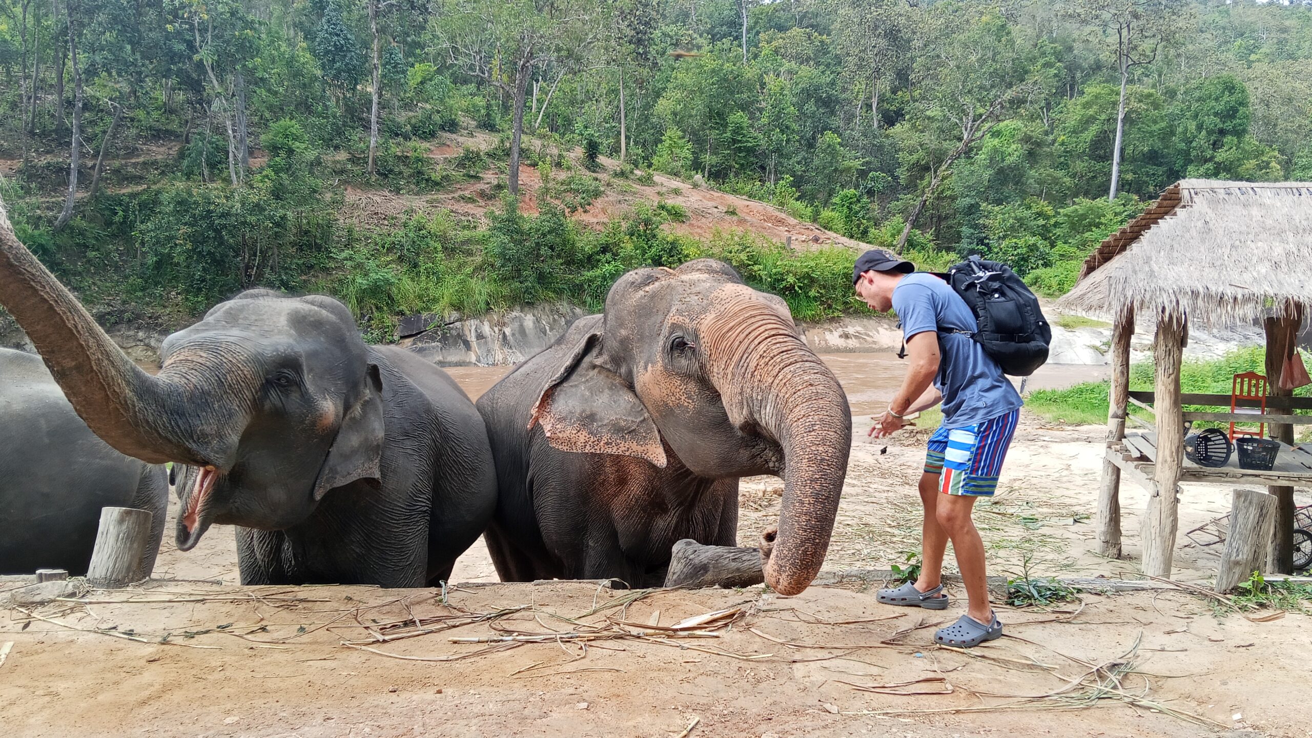 Doi Inthanon National Park Hiking+ Elephant Care - Image 16