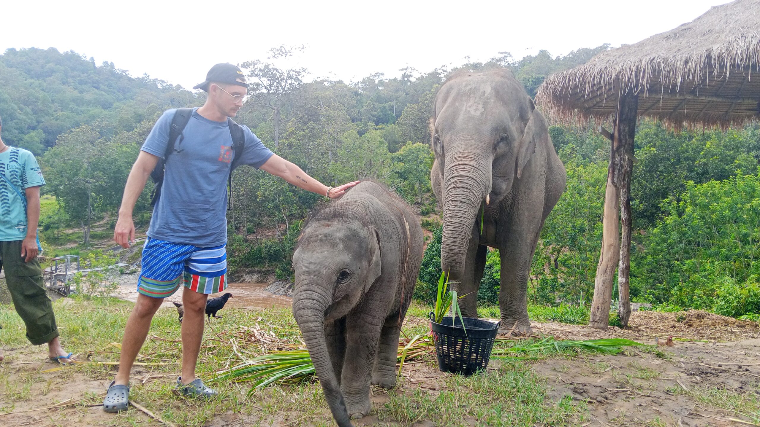 Doi Inthanon National Park Hiking+ Elephant Care - Image 18