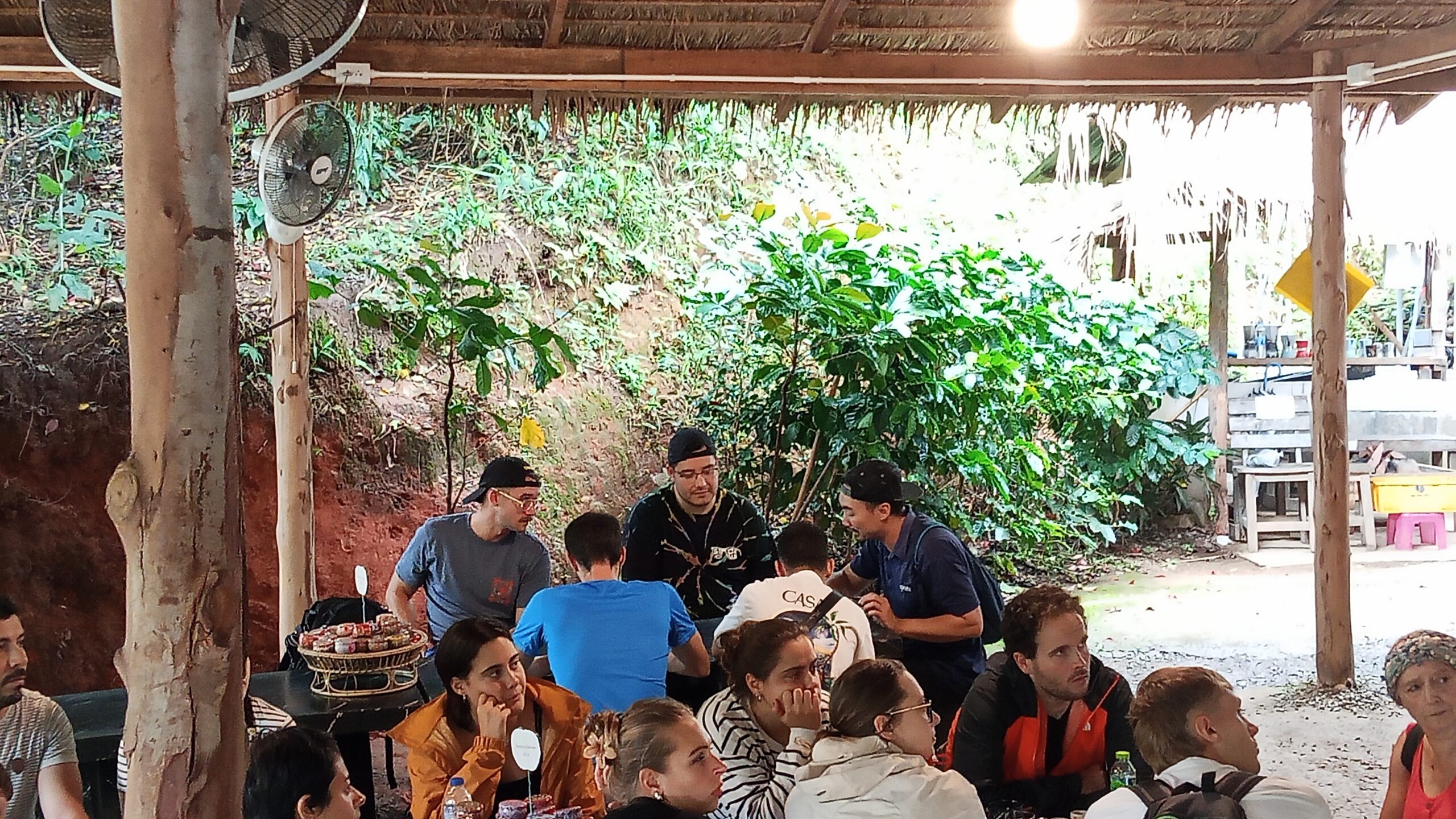 Doi Inthanon National Park Hiking+ Elephant Care - Image 20