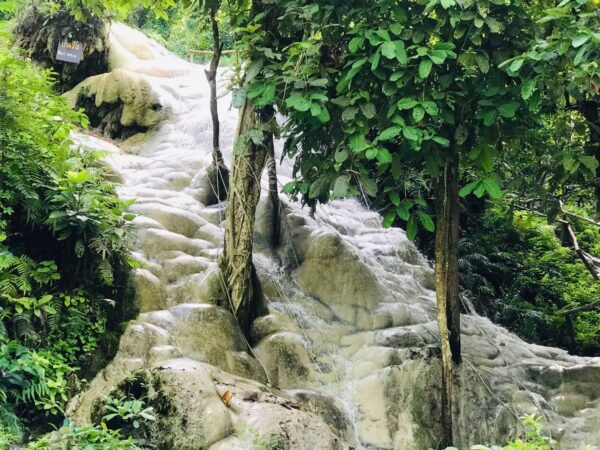 Doi Suthep Temple + Sticky Waterfall - Image 6
