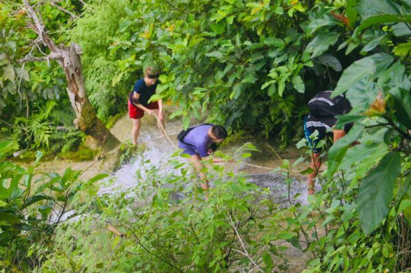 Doi Suthep Temple + Sticky Waterfall - Image 8
