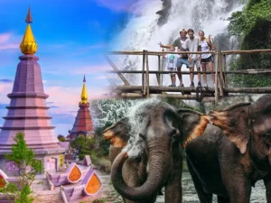 Doi Inthanon National Park Hiking+ Elephant Care