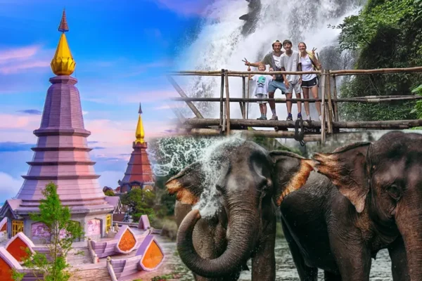 Doi Inthanon National Park Hiking+ Elephant Care